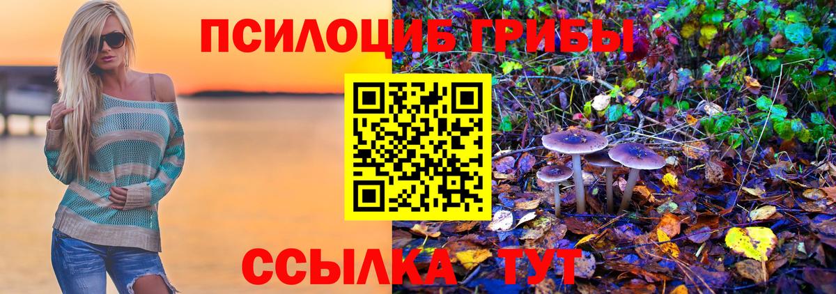 Солнечногорск  Галлюциногенные грибы Psilocybine cubensis  Вход с VPN 