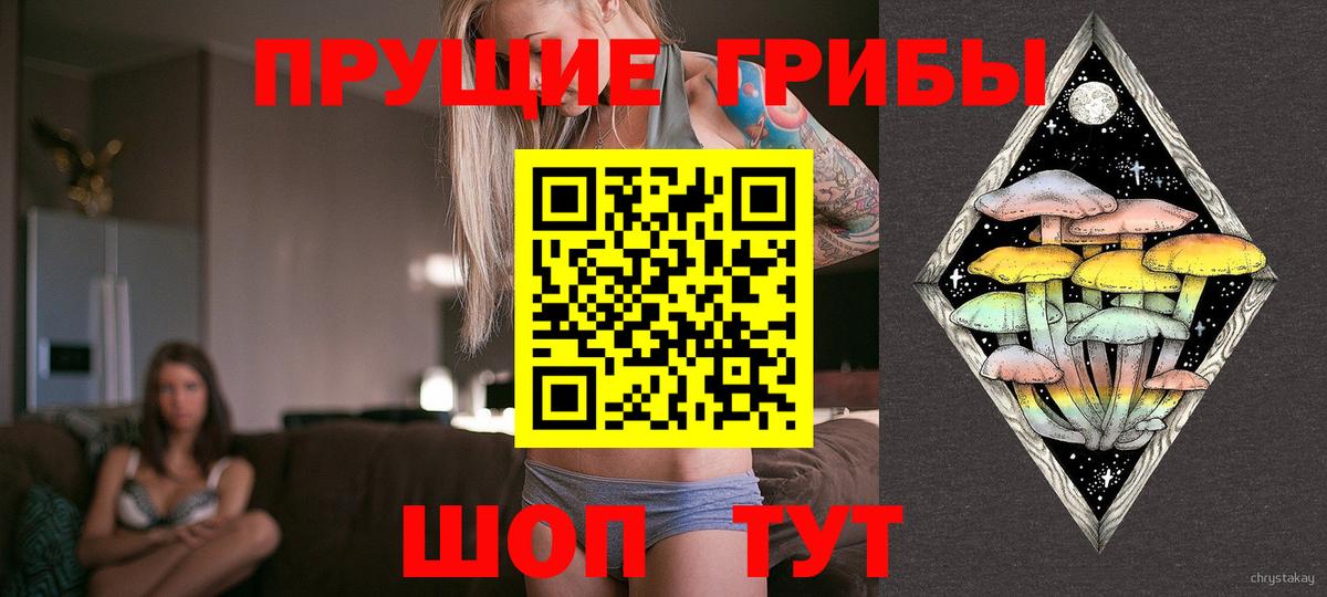 Галлюциногенные грибы прущие грибы Солнечногорск